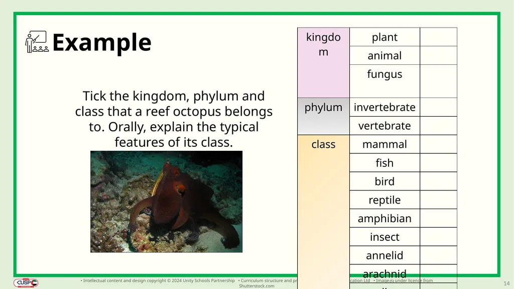 1 CUSP Science Revisit lesson Grade 3 Biology - slide 14 of 19