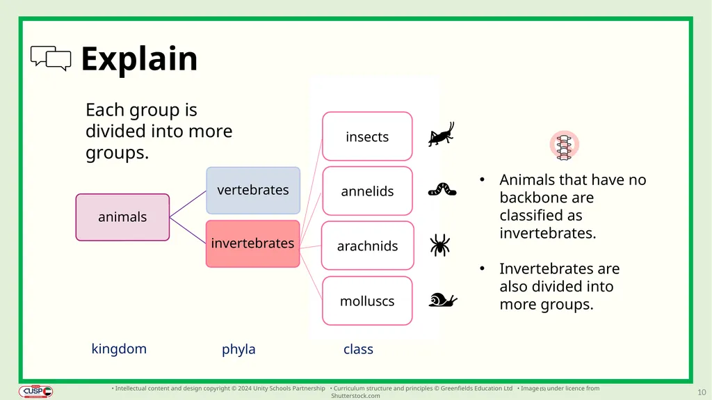 1 CUSP Science Revisit lesson Grade 3 Biology - slide 10 of 19