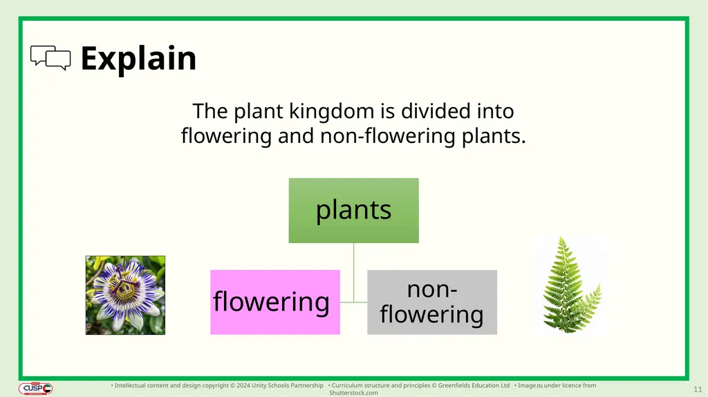 1 CUSP Science Revisit lesson Grade 3 Biology - slide 11 of 19