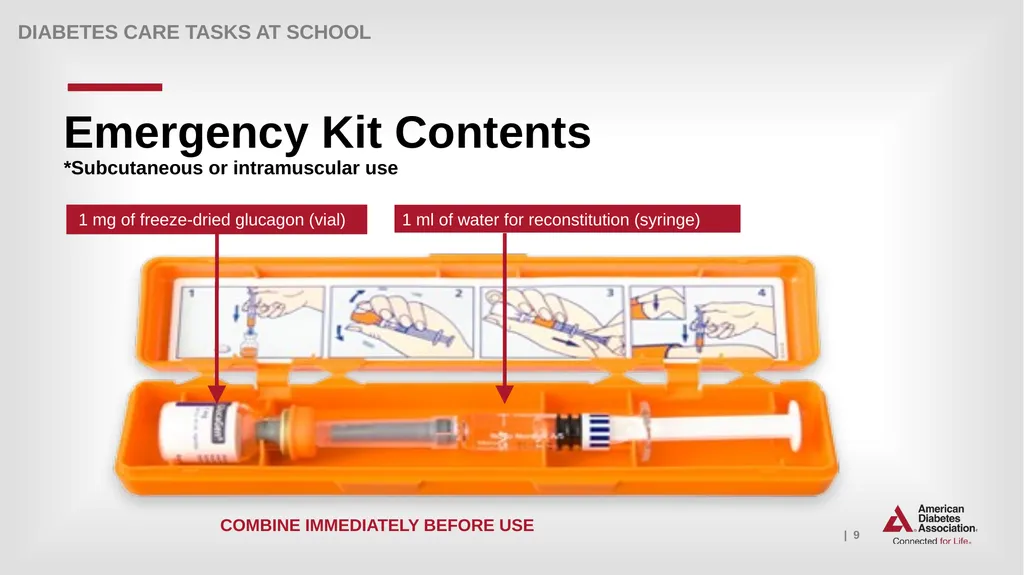 What Key Personnel Need To Know GLUCAGON - slide 9 of 25