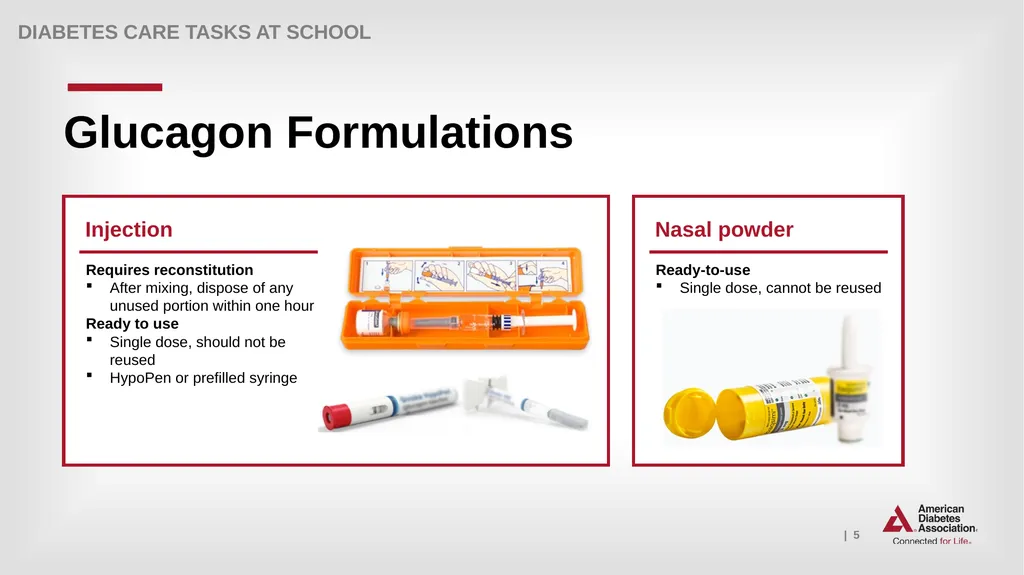 What Key Personnel Need To Know GLUCAGON - slide 5 of 25