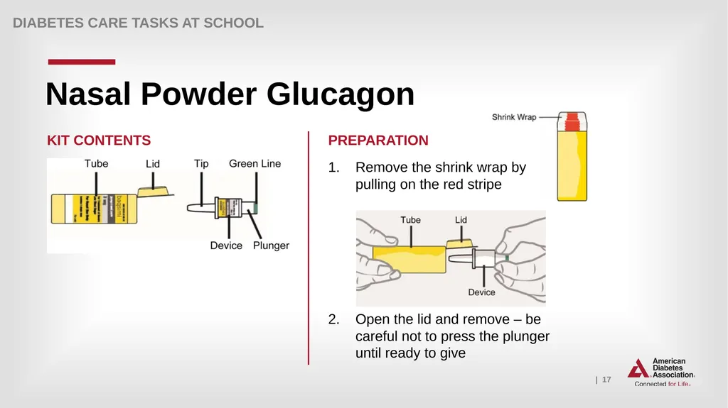What Key Personnel Need To Know GLUCAGON - slide 17 of 25