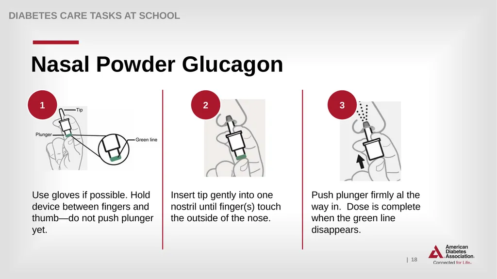 What Key Personnel Need To Know GLUCAGON - slide 18 of 25