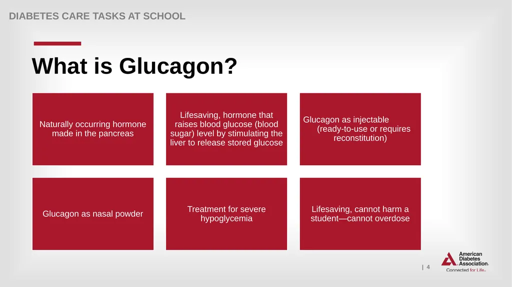 What Key Personnel Need To Know GLUCAGON - slide 4 of 25