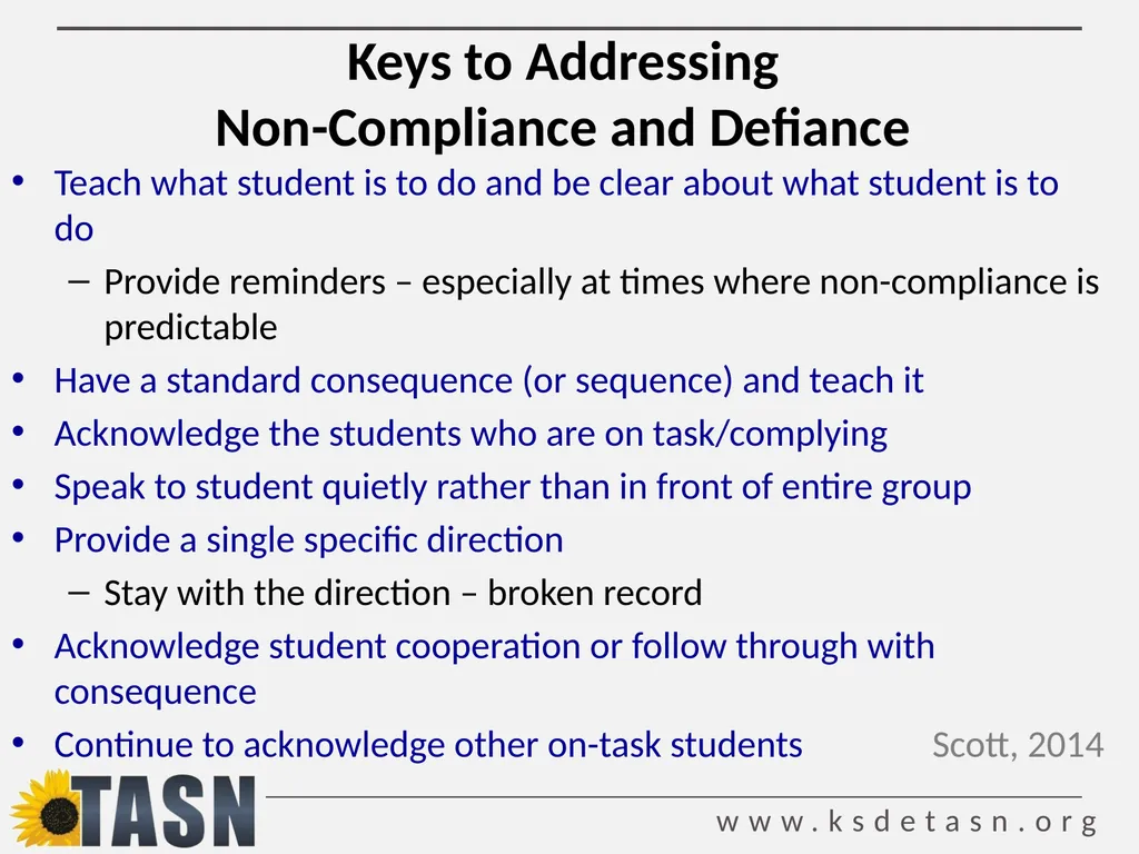 De-escalation Techniques Strategies for preventing - slide 32 of 52