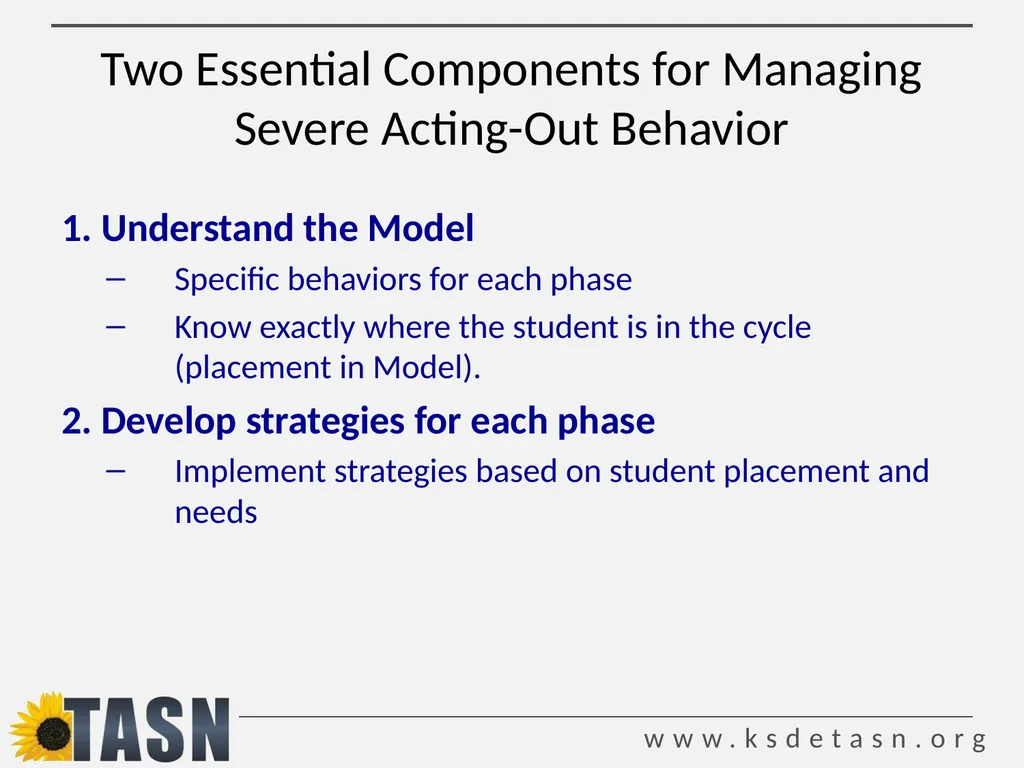 De-escalation Techniques Strategies for preventing - slide 15 of 52