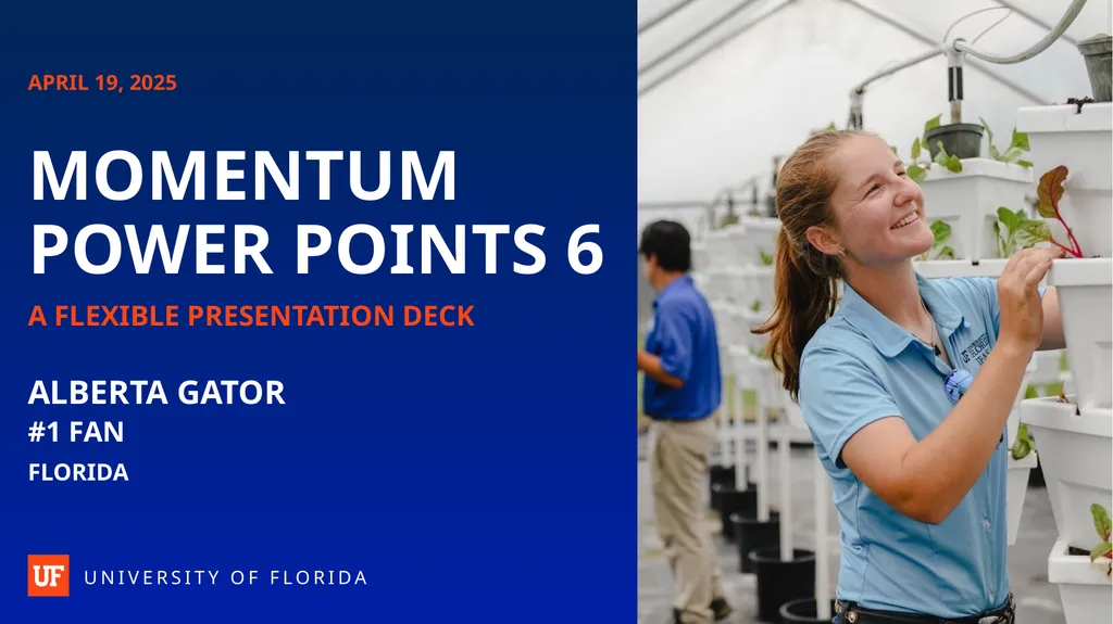 APRIL 18, 2025 MOMENTUM POWER POINTS 1 A FLEXIBLE - slide 6 of 45