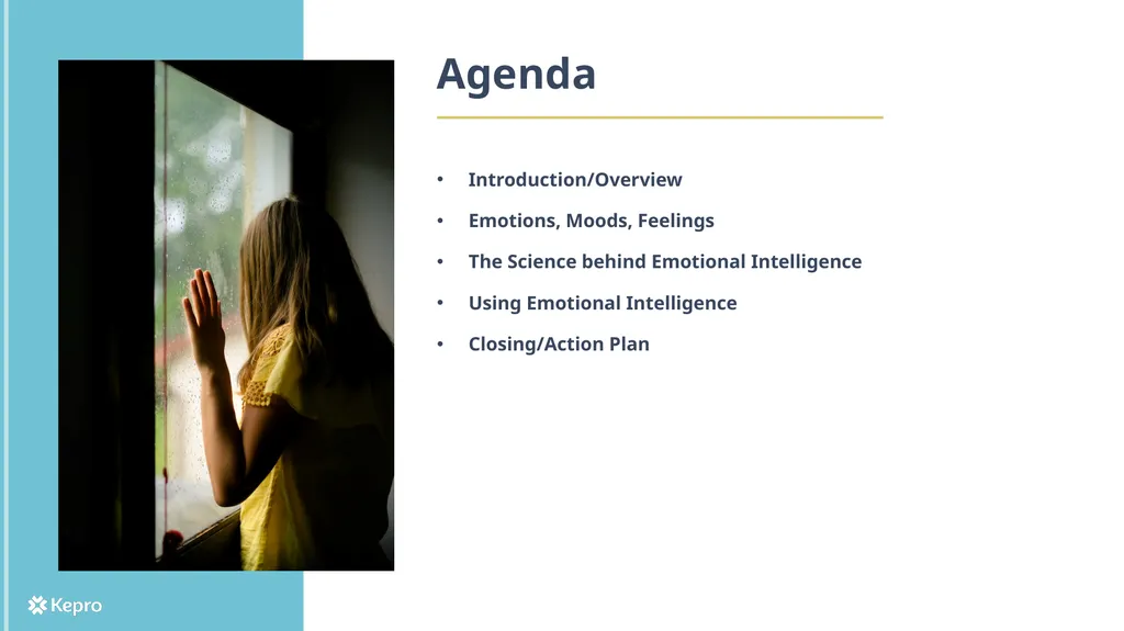 Emotional Intelligence: A Guide to How it Works - slide 2 of 26