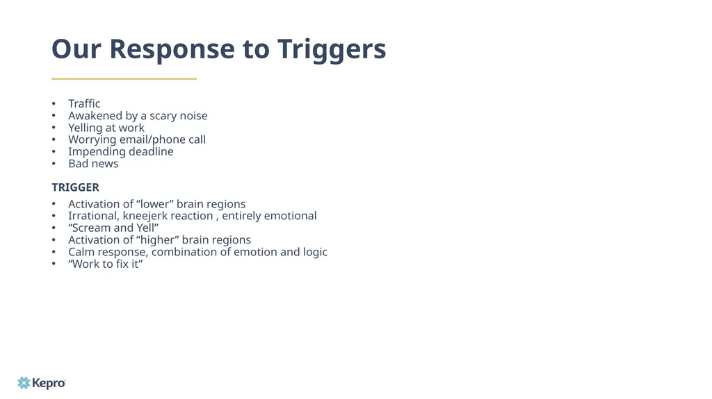 Emotional Intelligence: A Guide to How it Works - slide 16 of 26