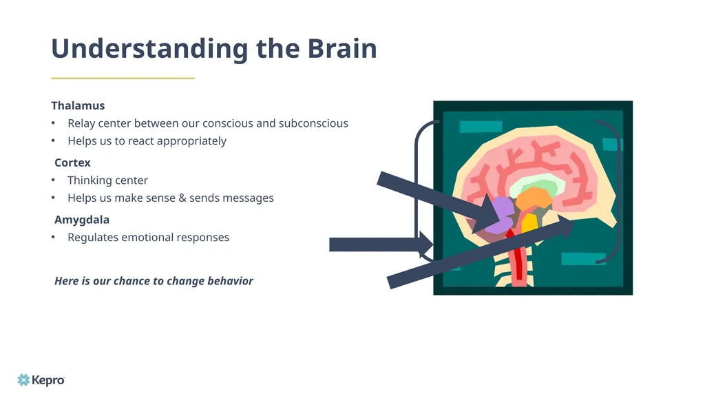 Emotional Intelligence: A Guide to How it Works - slide 14 of 26
