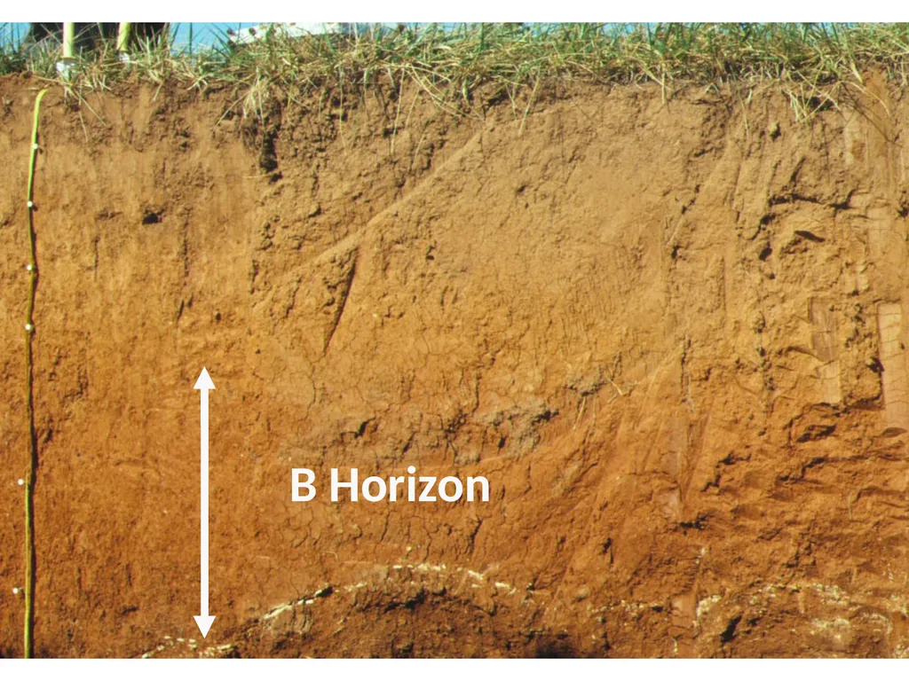 How do soils form? Soil Profiles How do you start - slide 18 of 24