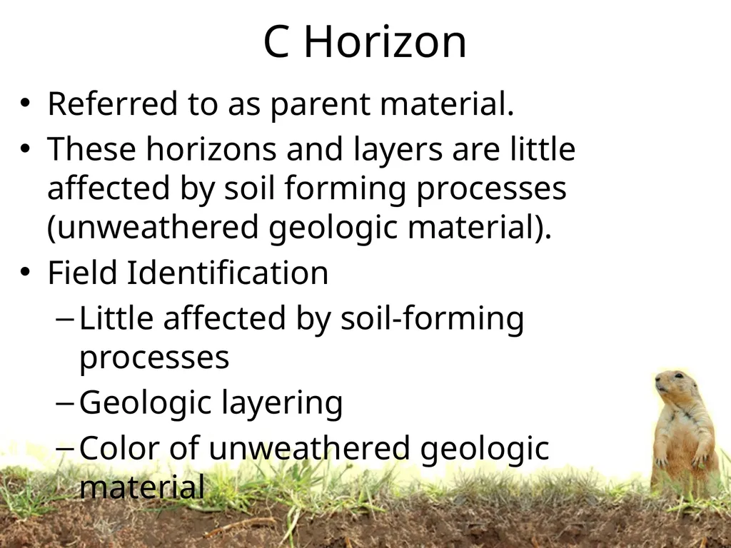 How do soils form? Soil Profiles How do you start - slide 20 of 24