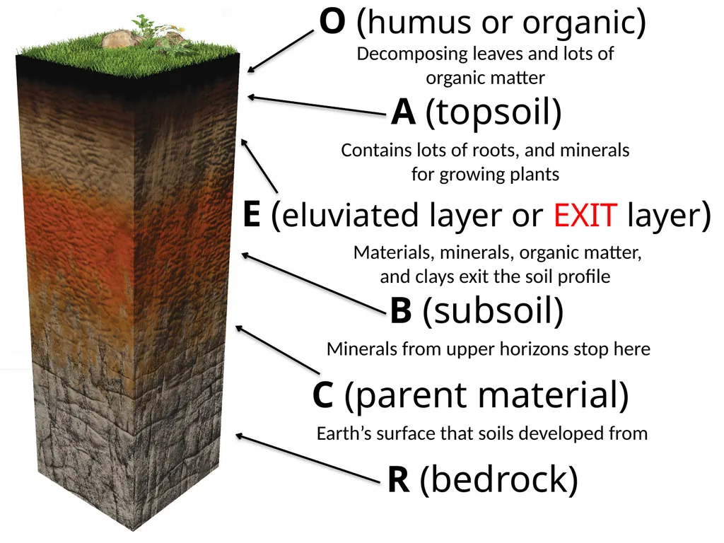 How do soils form? Soil Profiles How do you start - slide 4 of 24