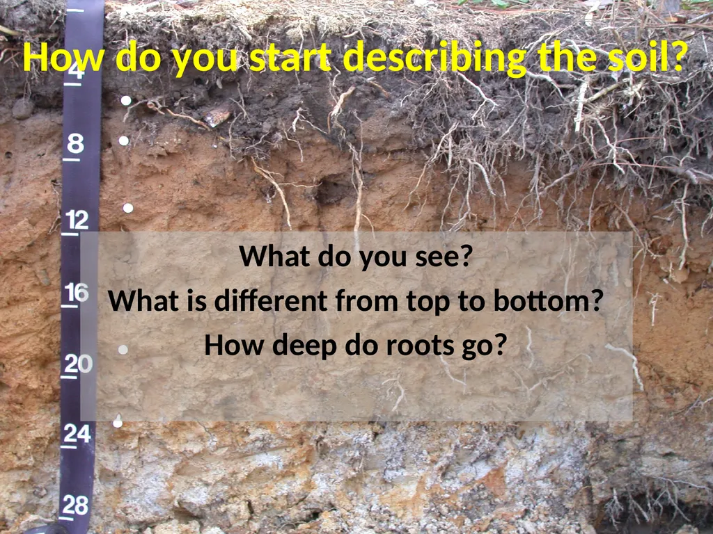How do soils form? Soil Profiles How do you start - slide 2 of 24
