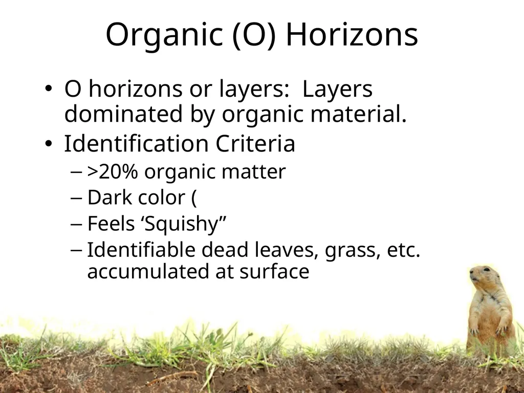 How do soils form? Soil Profiles How do you start - slide 8 of 24
