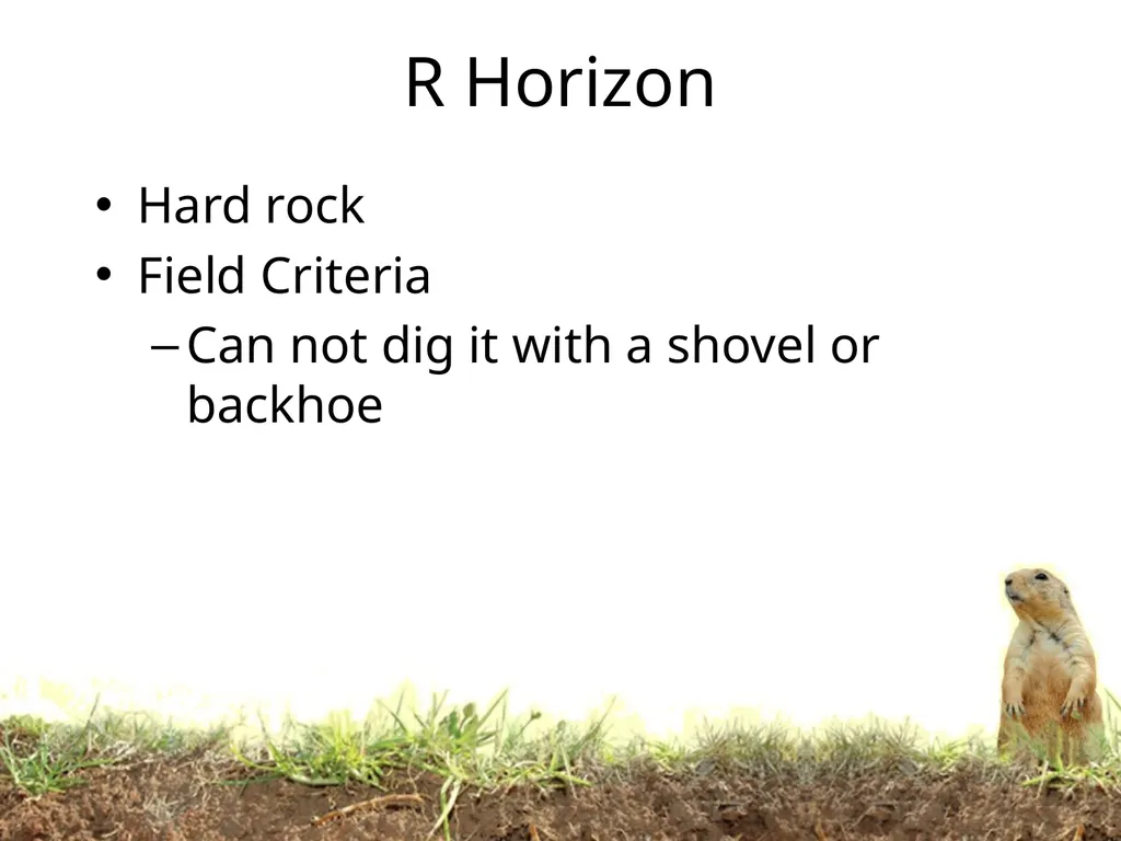 How do soils form? Soil Profiles How do you start - slide 22 of 24