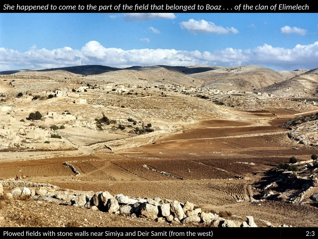 RUTH 2 RUTH 2 This is a free sample of - slide 21 of 32