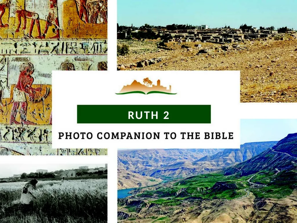 RUTH 2 RUTH 2 This is a free sample of - slide 1 of 32