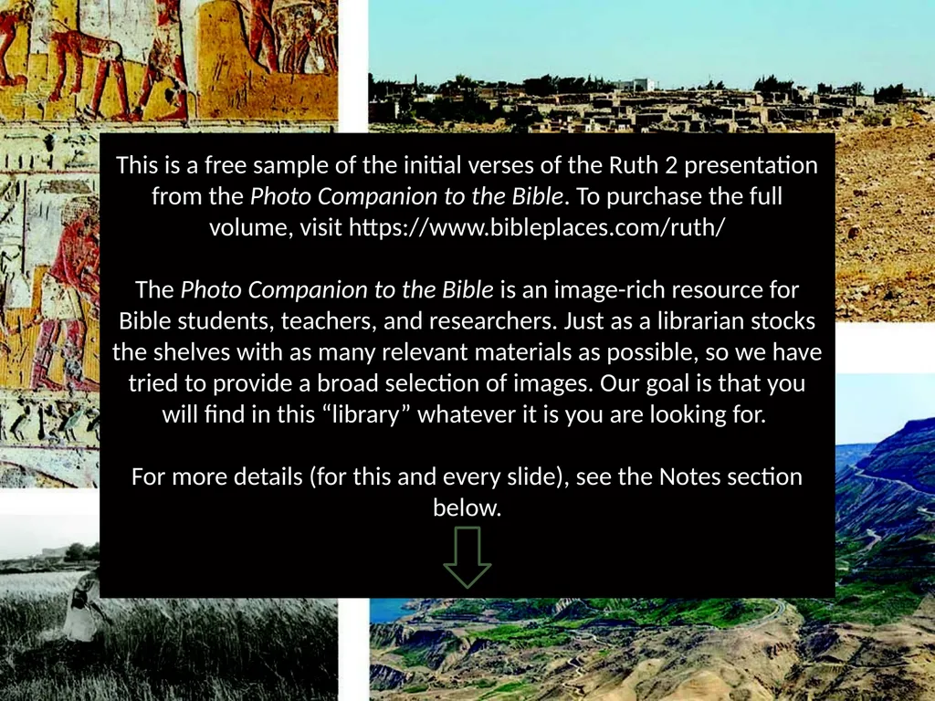 RUTH 2 RUTH 2 This is a free sample of - slide 2 of 32