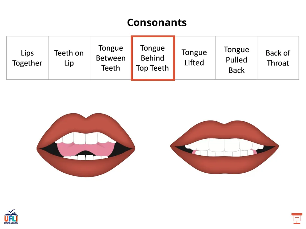 Getting Ready Lesson B Consonants Consonants - slide 10 of 31