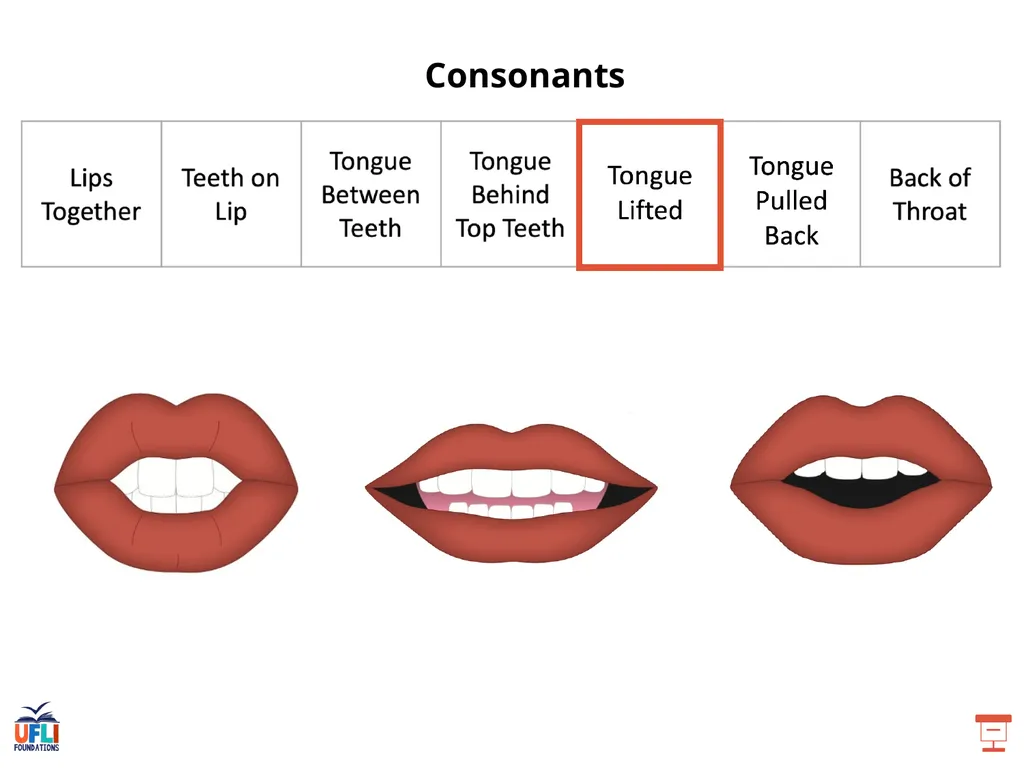 Getting Ready Lesson B Consonants Consonants - slide 11 of 31