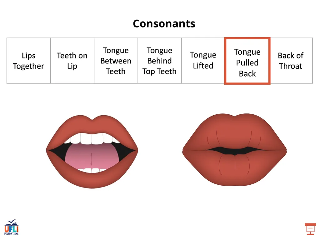 Getting Ready Lesson B Consonants Consonants - slide 12 of 31