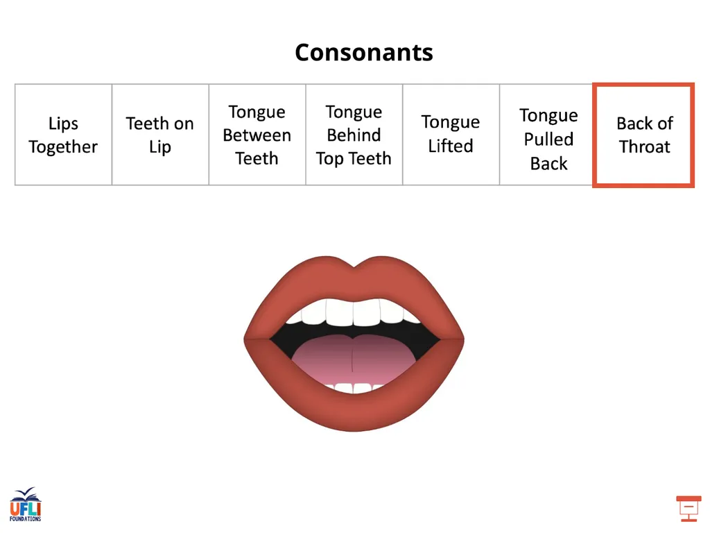 Getting Ready Lesson B Consonants Consonants - slide 13 of 31