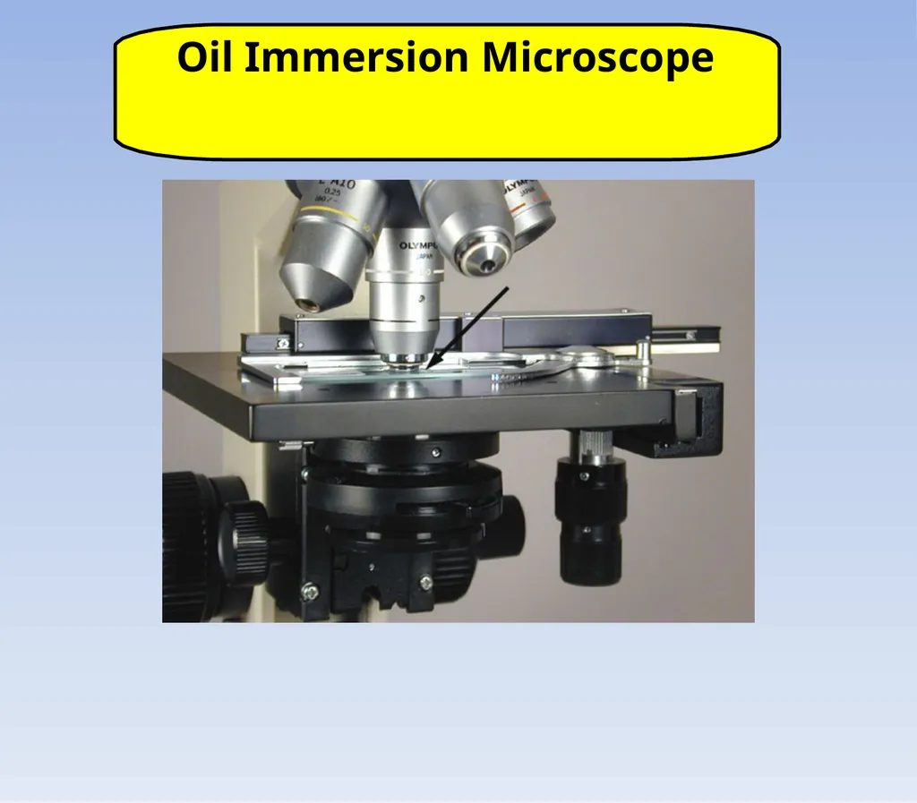 How to look at bacteria & Gram Staining There are - slide 20 of 22