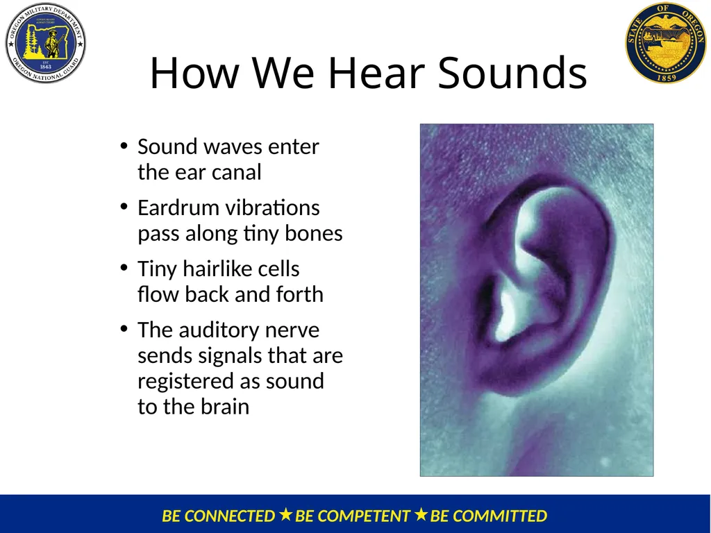 OMD Safety Policy Training HEARING CONSERVATION - slide 6 of 30