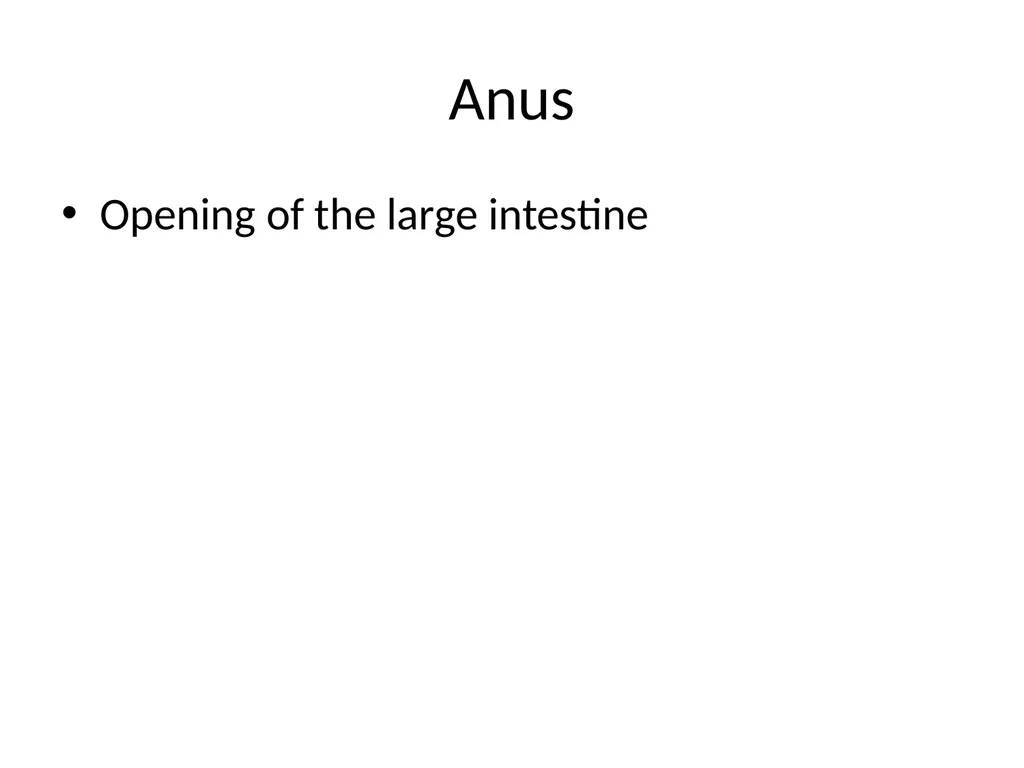 Digestive System How is food used for fuel? - slide 22 of 34