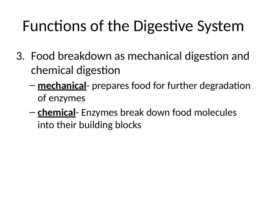 Digestive System How is food used for fuel? - slide 3 of 34