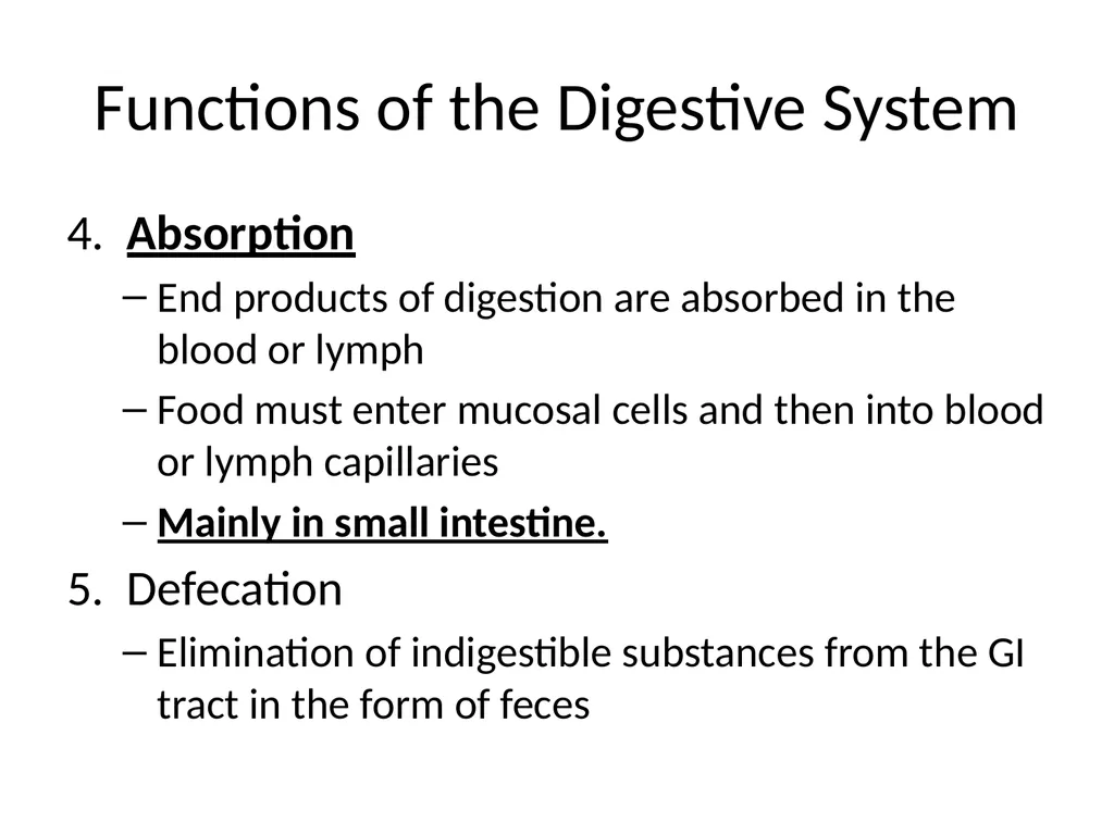 Digestive System How is food used for fuel? - slide 4 of 34