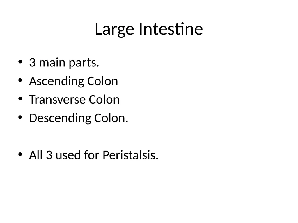 Digestive System How is food used for fuel? - slide 20 of 34