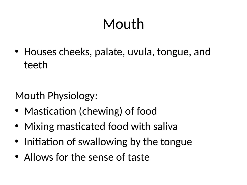 Digestive System How is food used for fuel? - slide 7 of 34