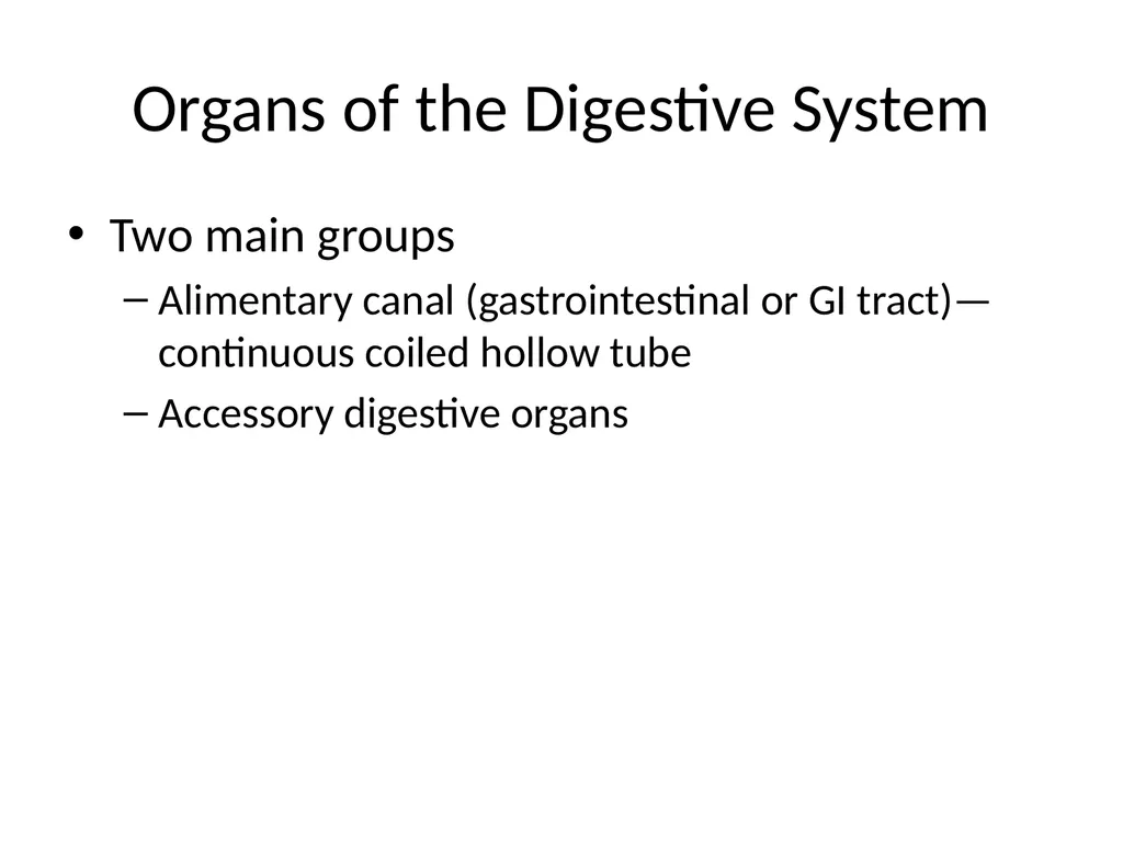 Digestive System How is food used for fuel? - slide 5 of 34
