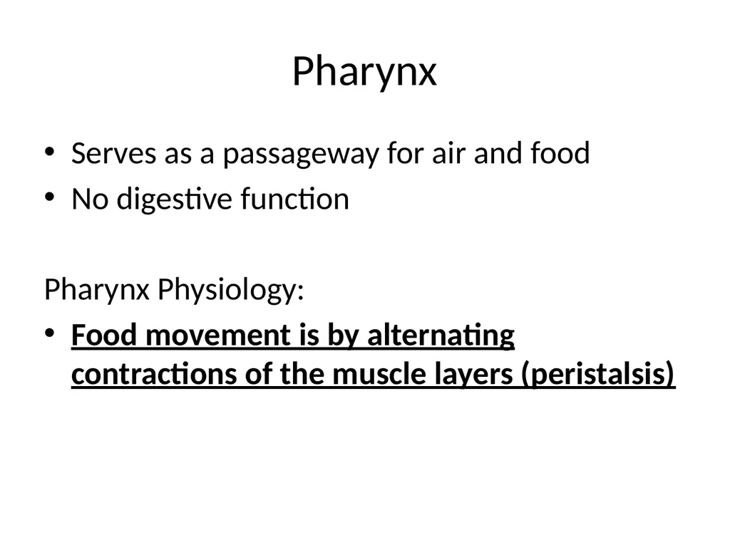 Digestive System How is food used for fuel? - slide 8 of 34