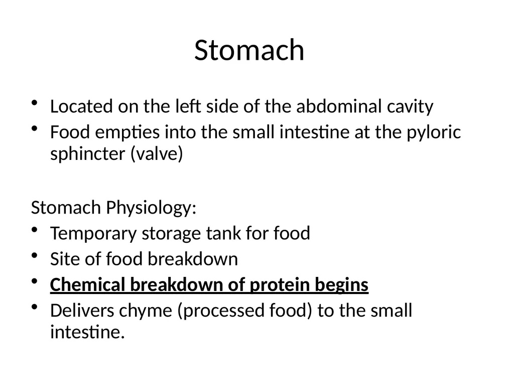Digestive System How is food used for fuel? - slide 11 of 34