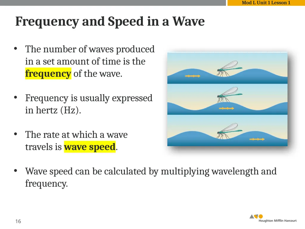 Module L Unit 1: Waves Lesson 1: Introduction to - slide 16 of 18