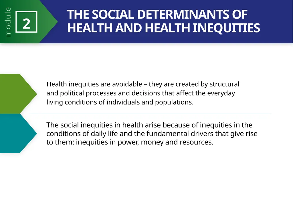 MODULE 2 PART 2 21st Century Health Dynamics and - slide 5 of 23
