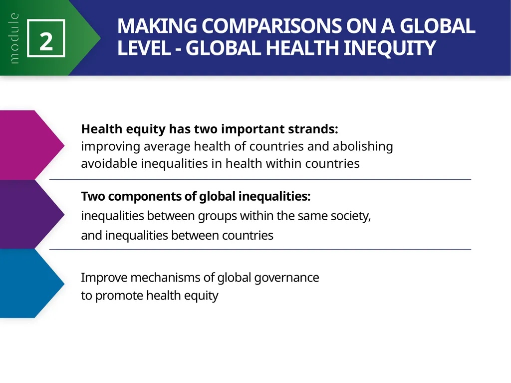MODULE 2 PART 2 21st Century Health Dynamics and - slide 11 of 23