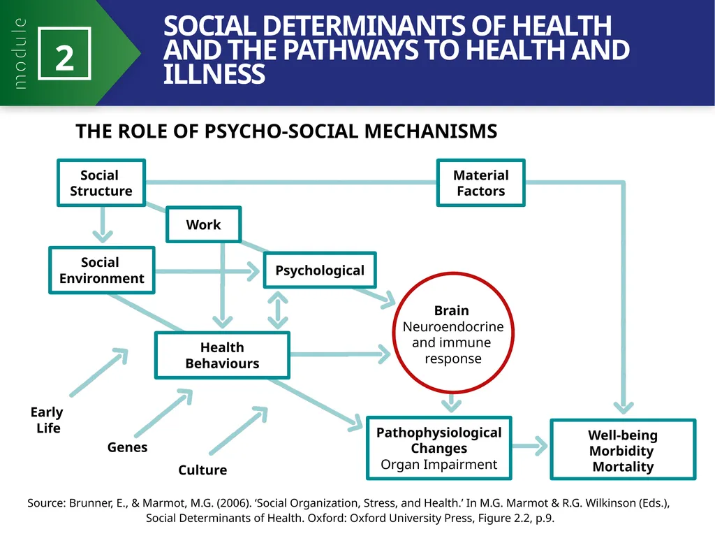 MODULE 2 PART 2 21st Century Health Dynamics and - slide 19 of 23