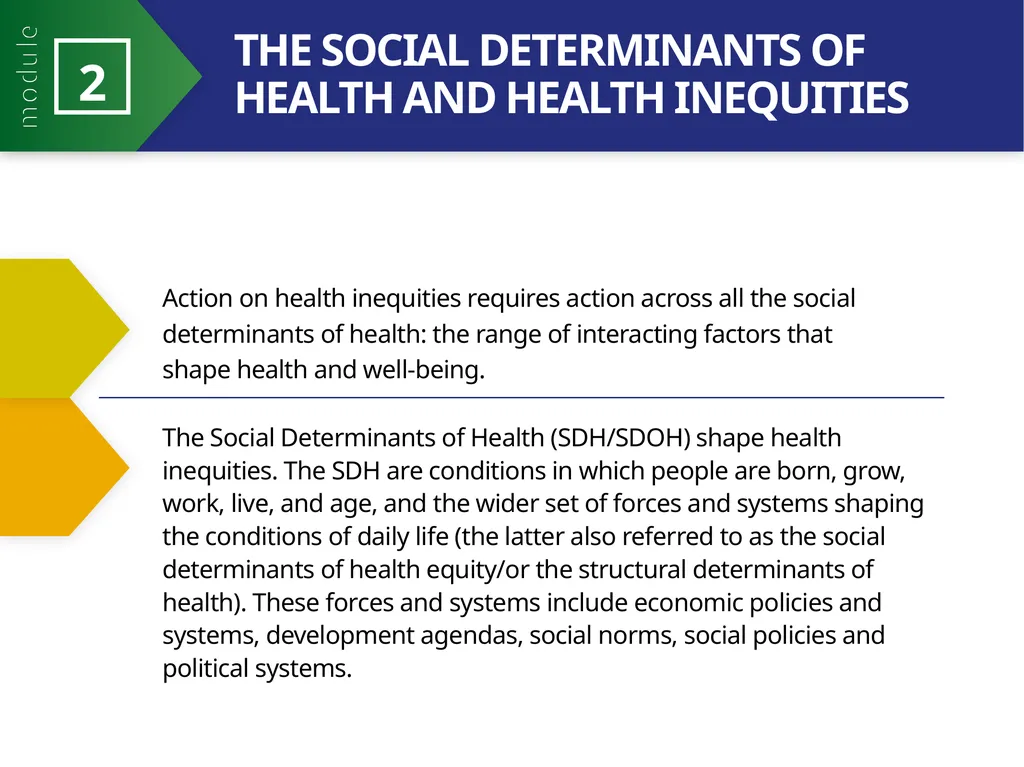 MODULE 2 PART 2 21st Century Health Dynamics and - slide 6 of 23