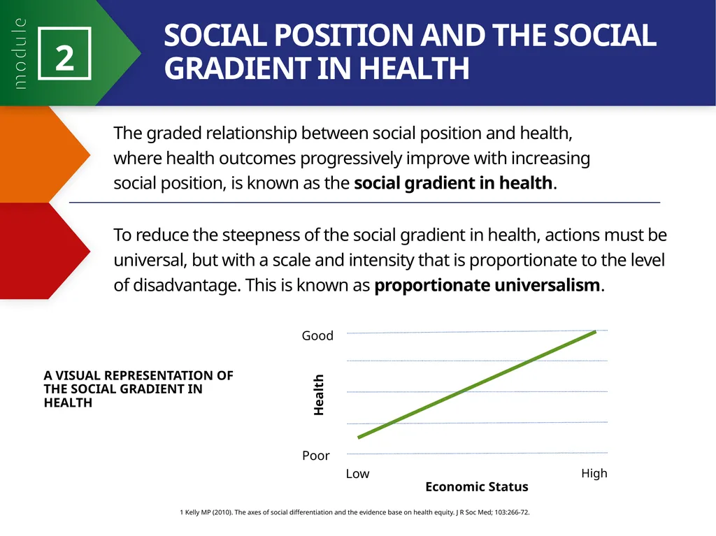 MODULE 2 PART 2 21st Century Health Dynamics and - slide 7 of 23