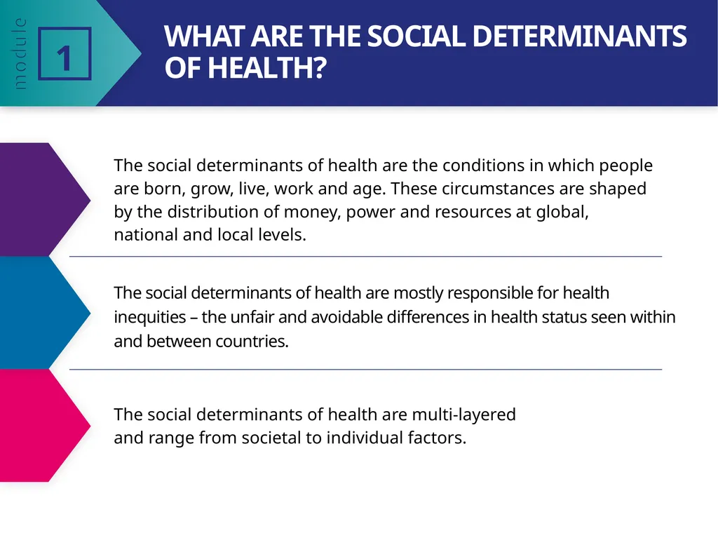 MODULE 1 PART 2 Introduction and the Determinants - slide 6 of 16