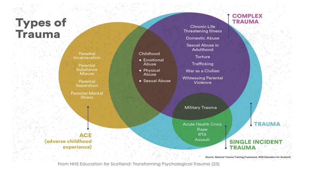 Trauma-informed teaching Dr Maria Hickey, Dr - slide 8 of 30