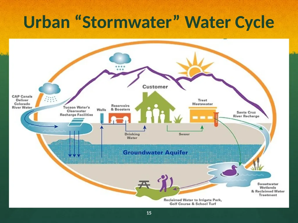 Natural and Urban “Stormwater” Water Cycles Our - slide 15 of 19
