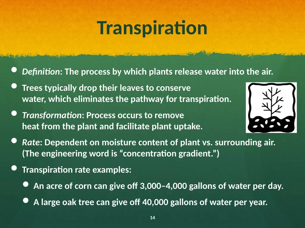 Natural and Urban “Stormwater” Water Cycles Our - slide 14 of 19