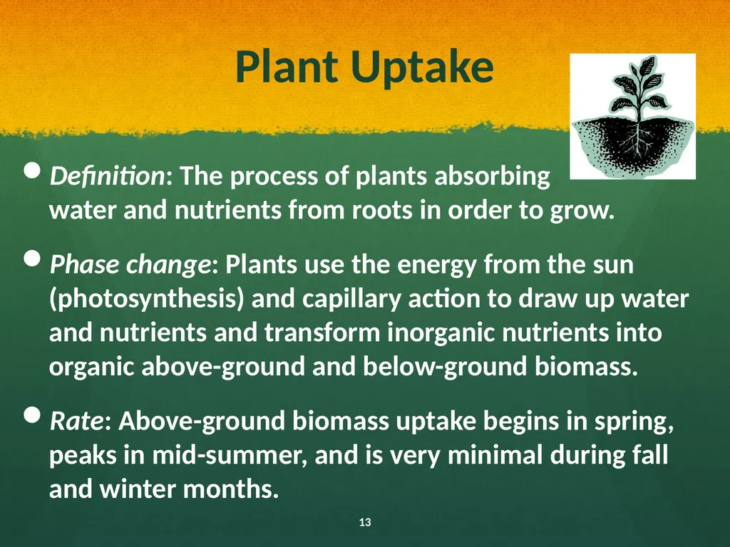 Natural and Urban “Stormwater” Water Cycles Our - slide 13 of 19