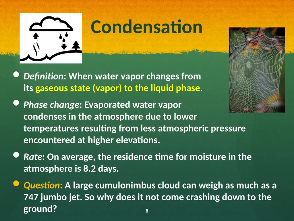 Natural and Urban “Stormwater” Water Cycles Our - slide 8 of 19