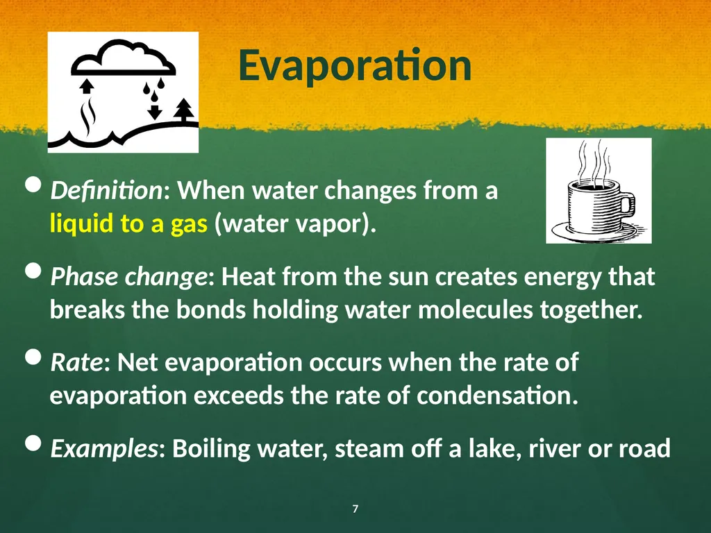 Natural and Urban “Stormwater” Water Cycles Our - slide 7 of 19